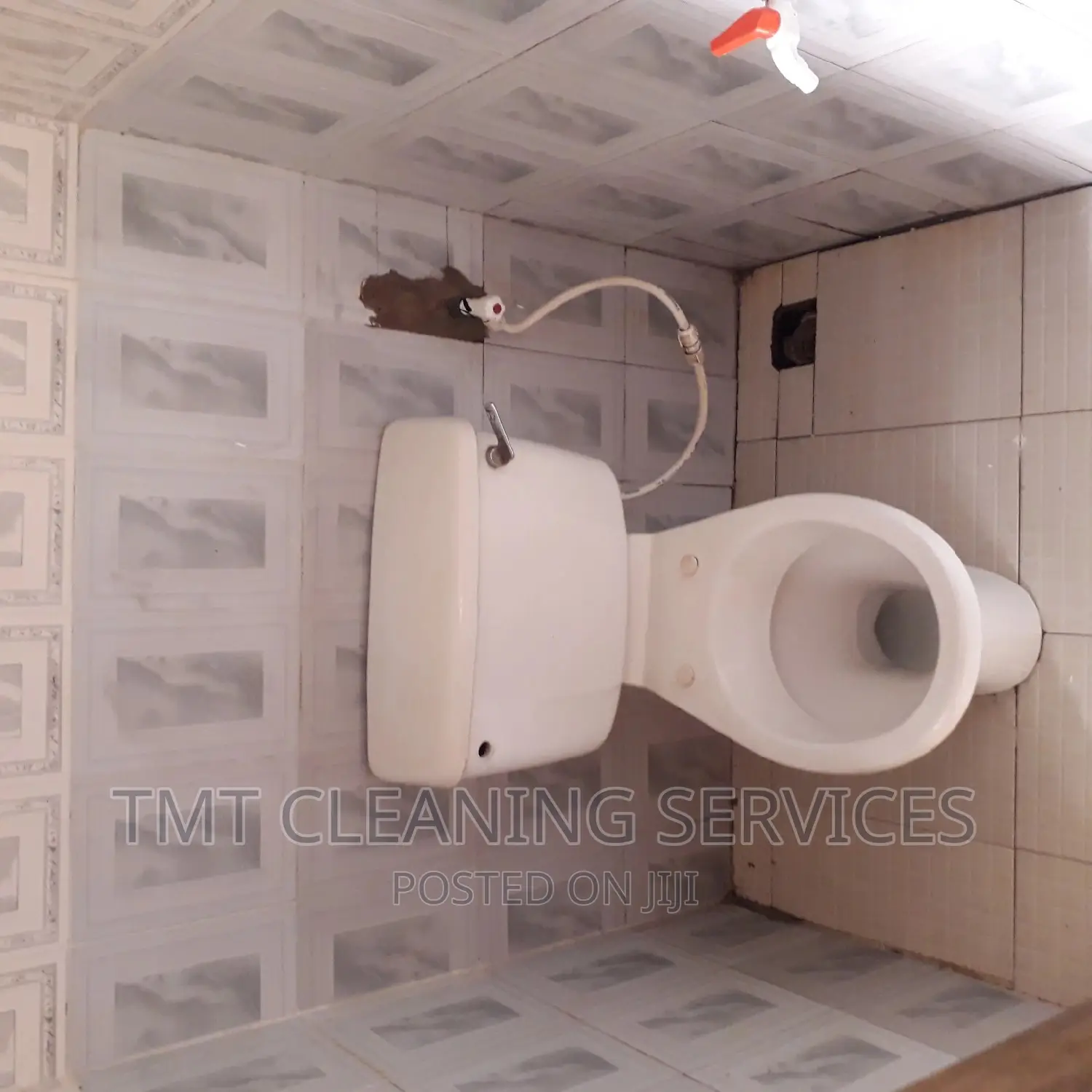 Professional Cleaning Services