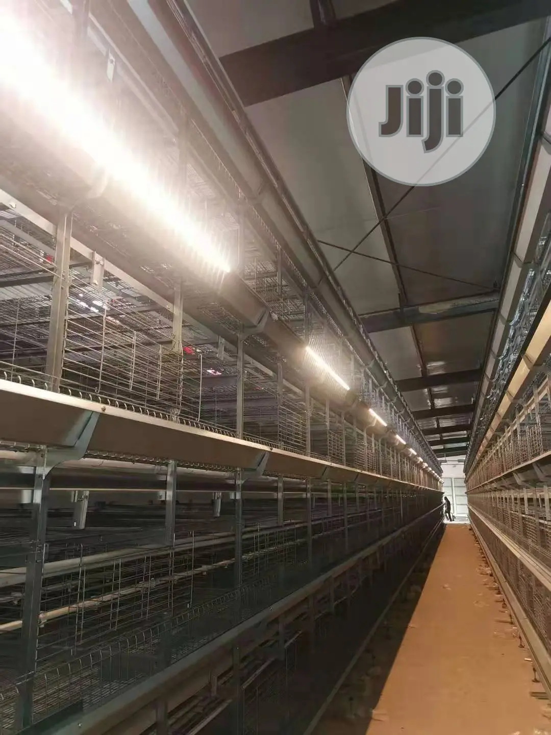 Poultry Cage / Automatic Poultry Cages