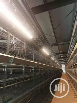 Poultry Cage / Automatic Poultry Cages