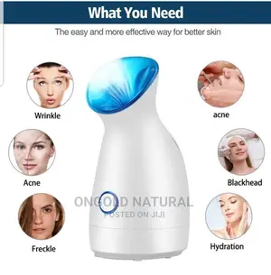 Nano Ionic Mist Facial Steamer