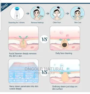 Nano Ionic Mist Facial Steamer