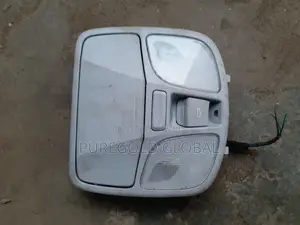 Sonata 2011 Roof Light