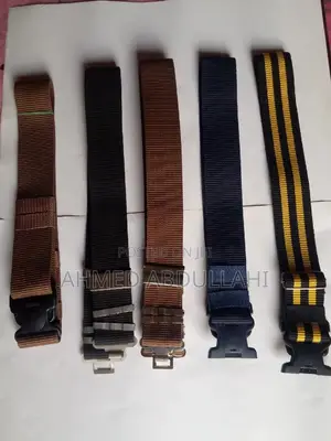 Security Belt