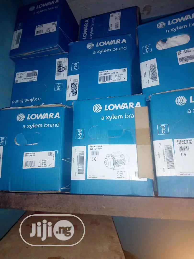 Lowara Pump