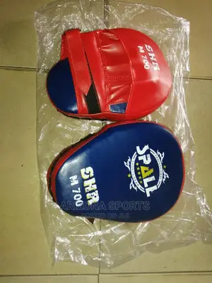 Photo - Boxing Coach Pad