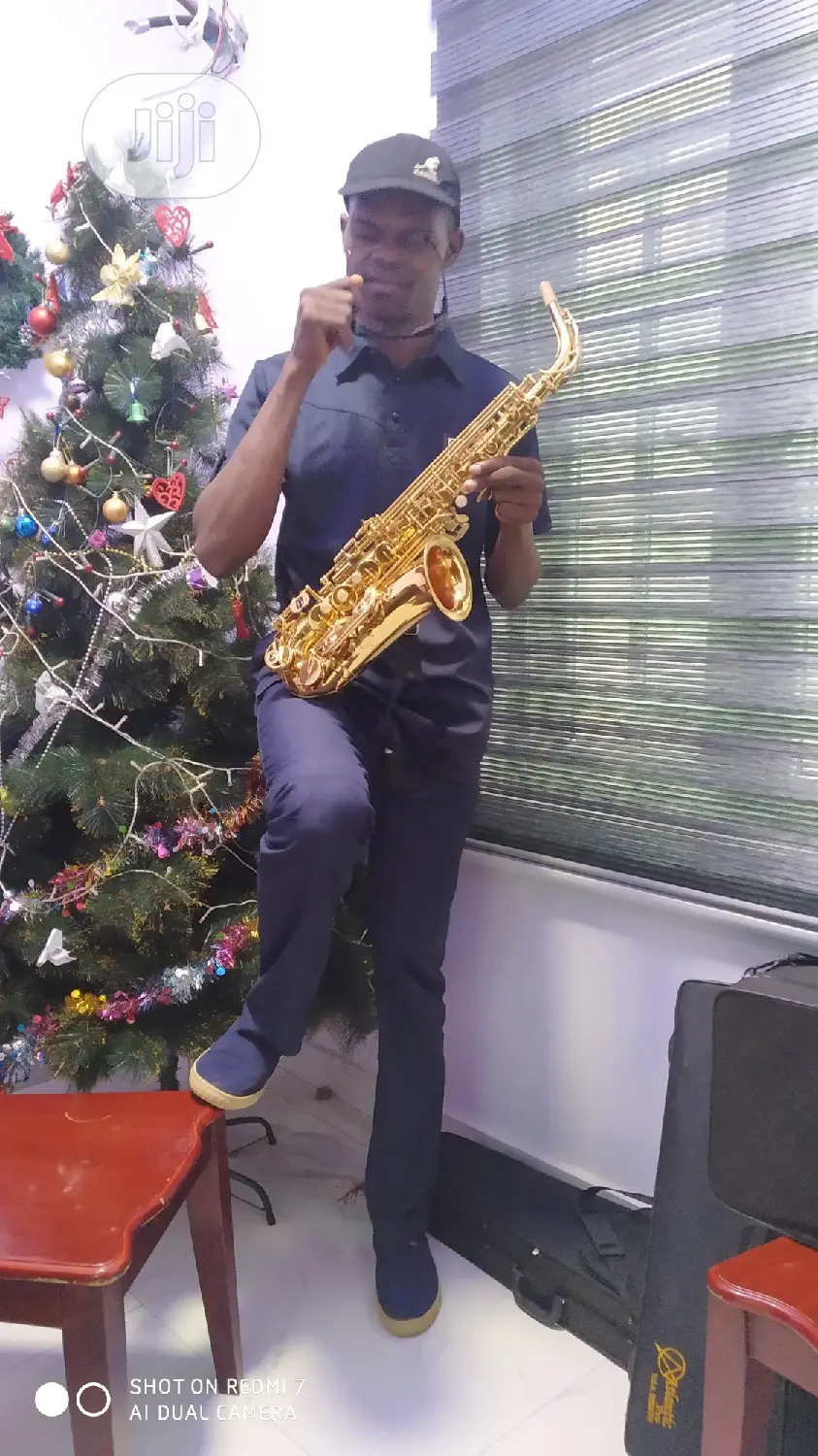 Violin/Saxophone Professional Trainer