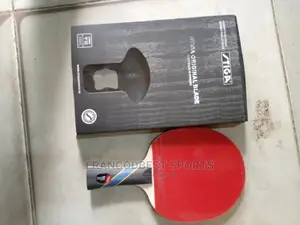 Photo - Professional Stiga Bat