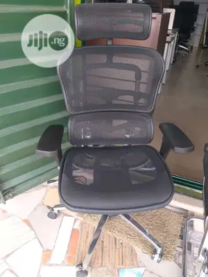 Ergonmic Chair