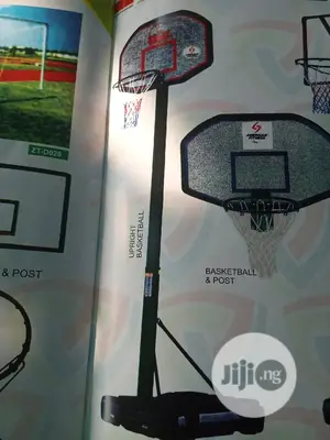 Junior Basketball Stand