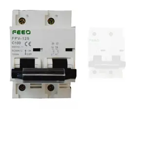 DC Mini Circuit Breaker (Dc McB) -2p 100A