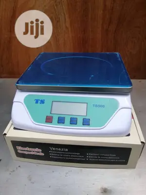 Digital Weighing Scale TS 500