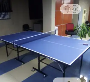 Indoor Table Tennis Board With Complete With 4bats,6balls