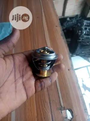 Thermostat Ford Edge
