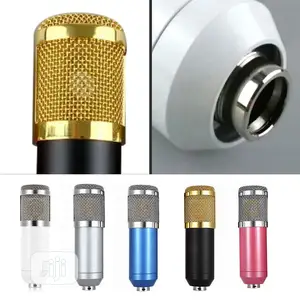 Condenser High Sensitivity Studio Microphone