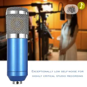 Condenser High Sensitivity Studio Microphone