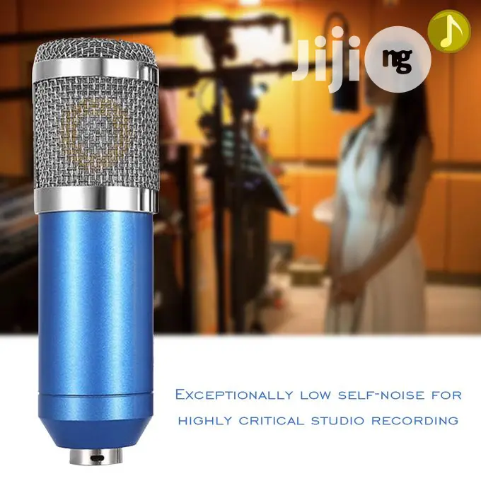 Condenser High Sensitivity Studio Microphone