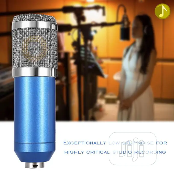 Condenser Sensitivity Recording Studio Microphone