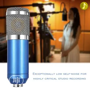 Condenser Studio Recording Microphone