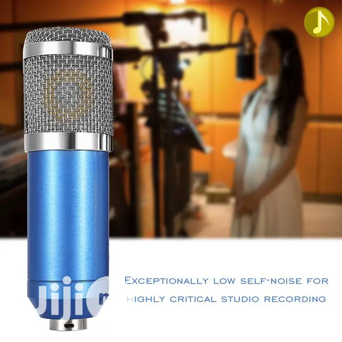 Condenser Studio Recording Microphone
