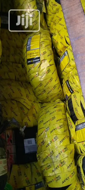 Austone Lanvigator Roadx Dunlop