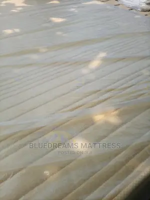 USA Orthopedic Mattress