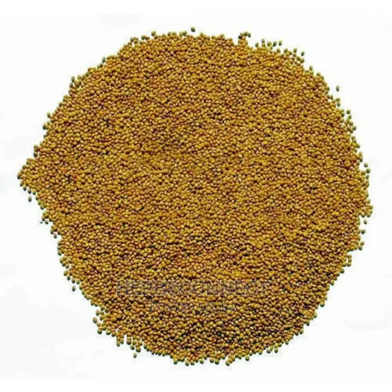 Organic Alfalfa Seeds