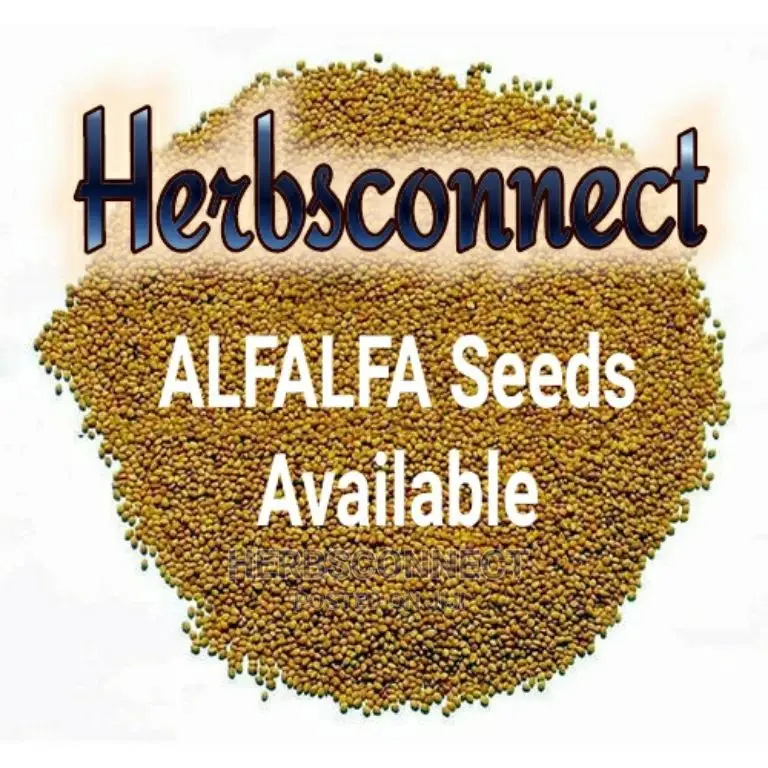 Organic Alfalfa Seeds