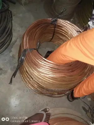 Copper Wire 120mm