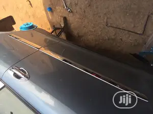 Lexus Body Chrome