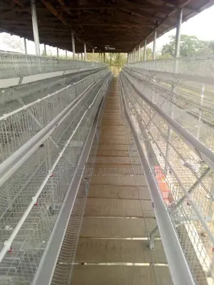 Semi Automatic Imported Layers Cage