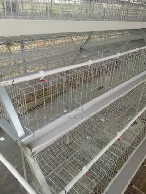 Semi Automatic Imported Layers Cage