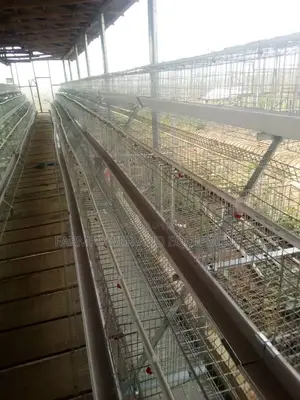 Semi Automatic Imported Layers Cage