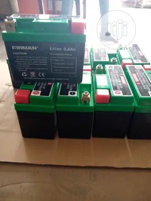 Sumec Firman Battery Lion Battery