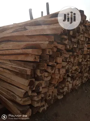 Photo - Woods and Timbers