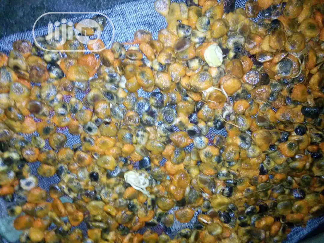 Broad Leaf Ugu Seeds From Calabar