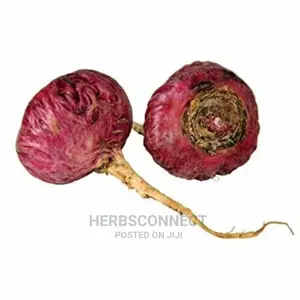 Organic Premium Red Maca