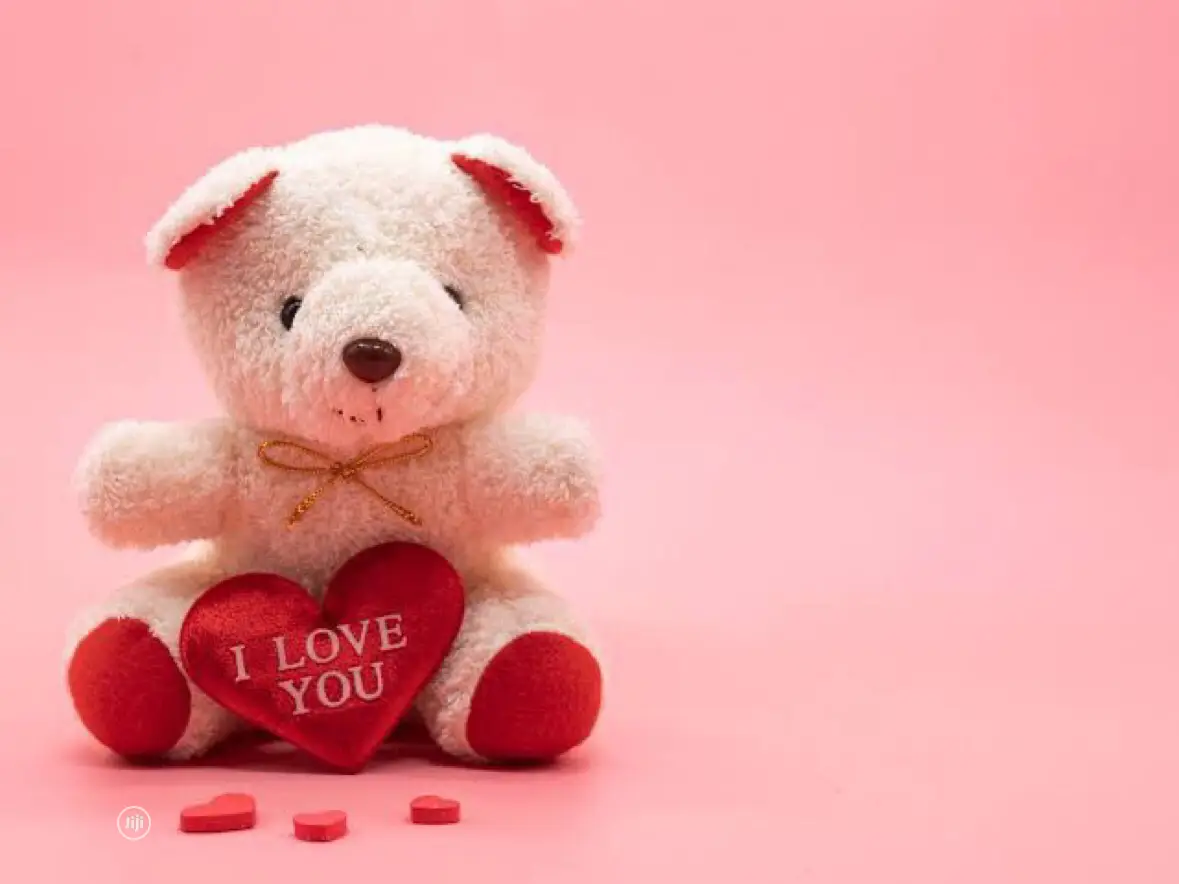 Teddy Bear Gift for Her (40cm)