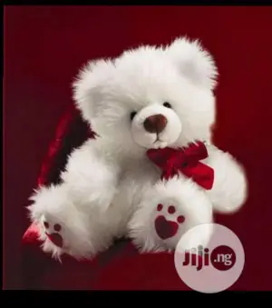 Teddy Bear Gift for Her (40cm)