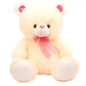 Teddy Bear Gift for Her (40cm)