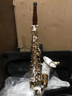 The Best Quality Selmer Alto Saxophone White as Gold Colour