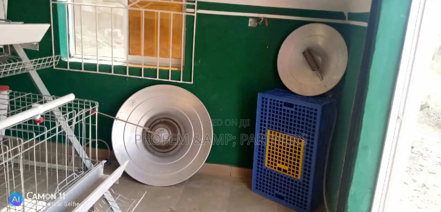Indian Gas Brooder
