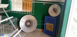 Indian Gas Brooder