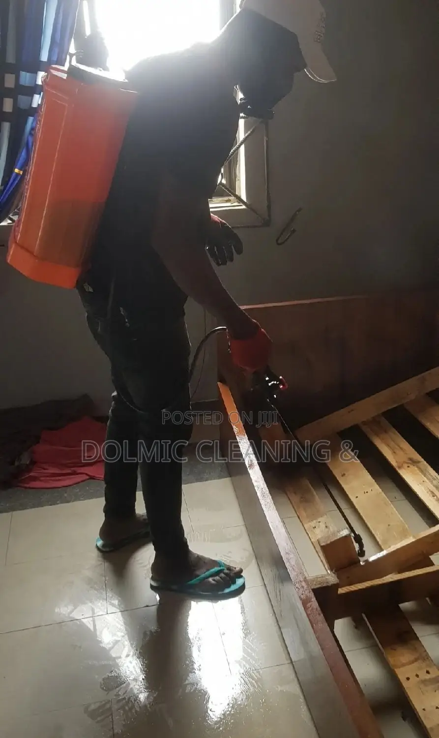 Best Bedbug Treatment Fumigation