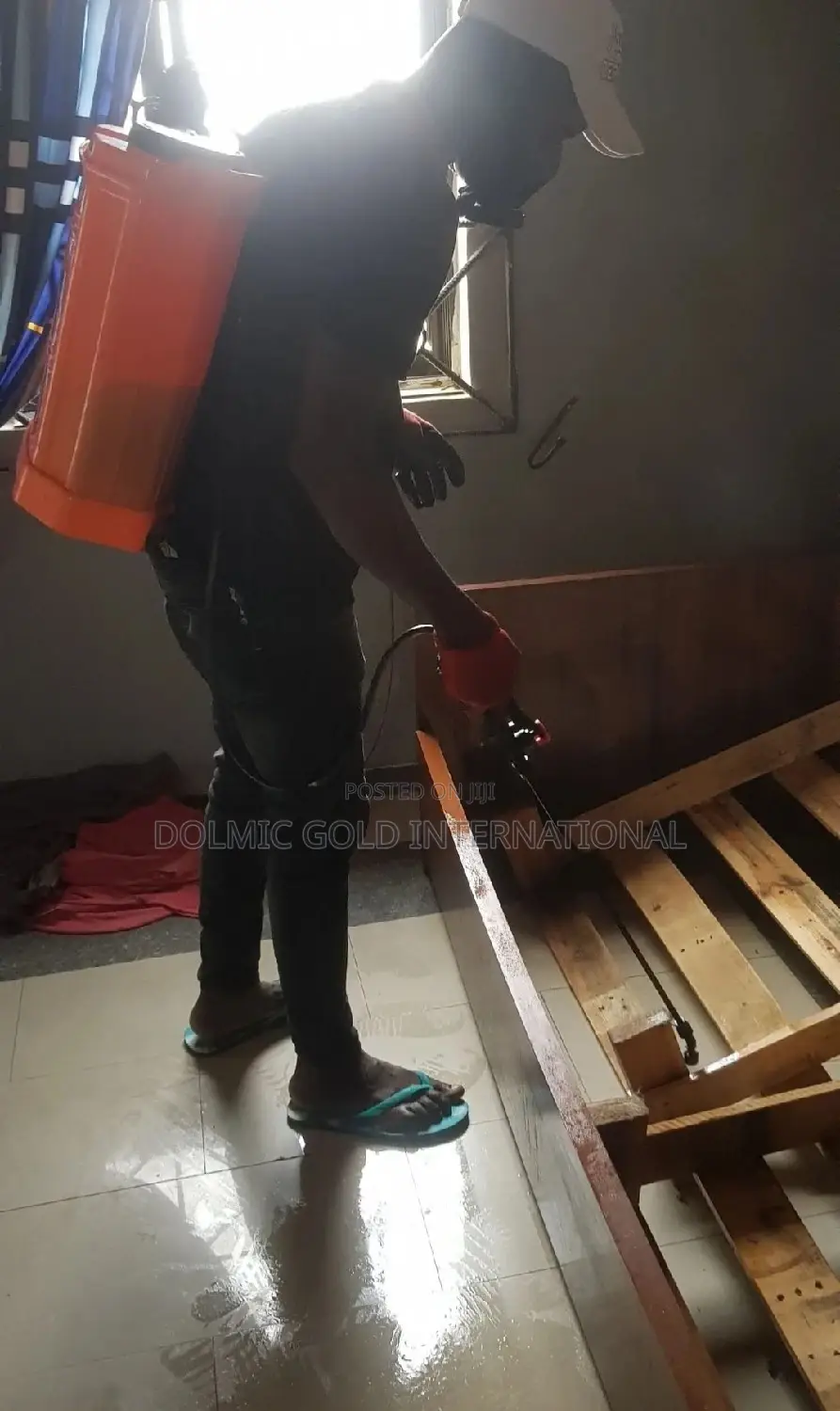Best Bedbug Treatment Fumigation