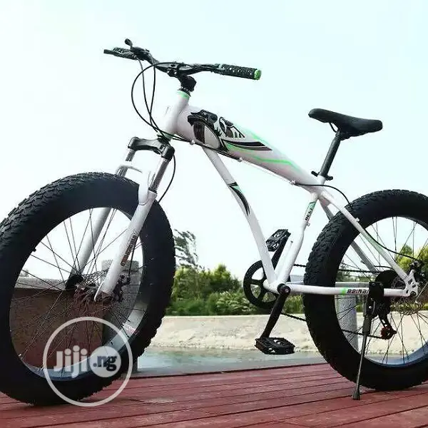 Yilong Giant Tire Bicycle