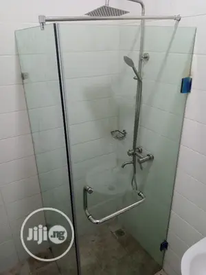 Frameless Shower Cubicle