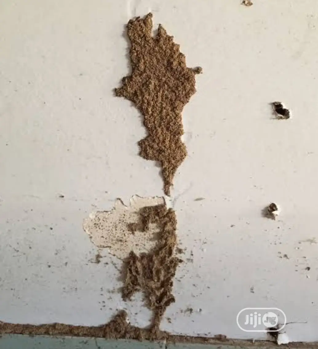 Fumigation/Furniture Preservation and Termite Eradicatio