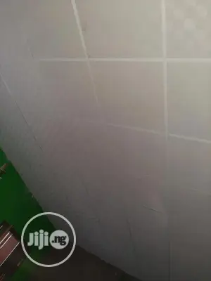 Suspended Ceiling/Wooden Floor/ Window Blinds/Screeding