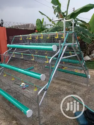 Battery Cage for Layers