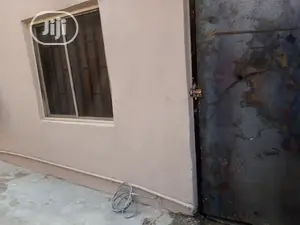 Professional House Painter